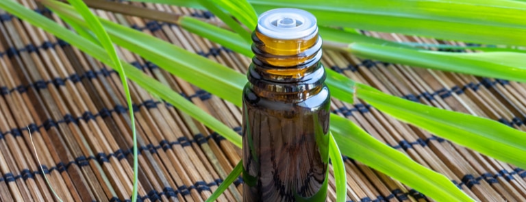 lemongrass oil 