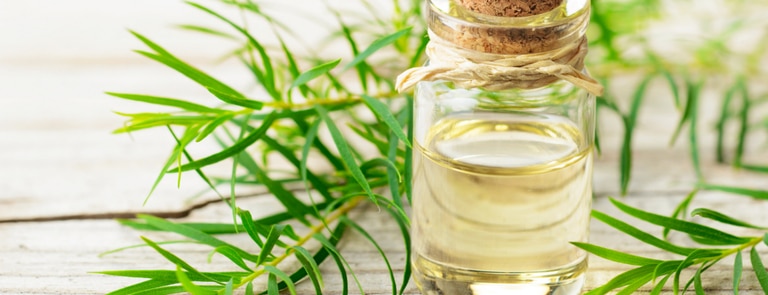 Tea Tree Oil: Uses & Benefits | Holland & Barrett