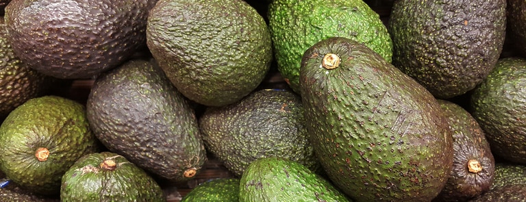 a number of different avocados 