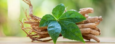Ginseng Benefits You Need to Know About
