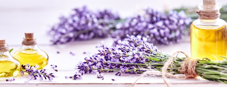 lavender dried flowers with bottles of oil in background