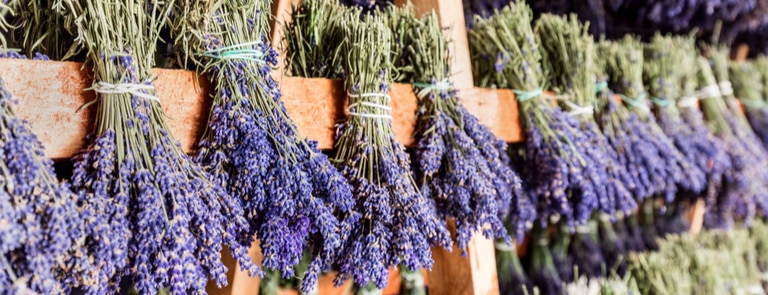 How to make an essential oils diffuser using dried lavender