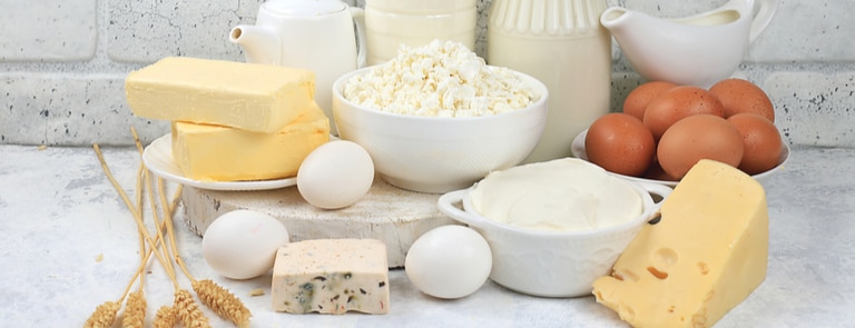 selection of dairy foods