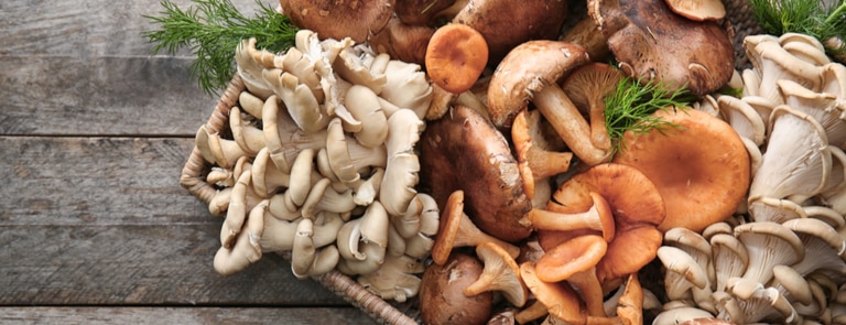 selection of fresh raw mushrooms in wooden basket