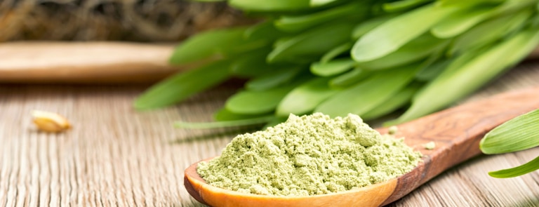 barley grass powder on wooden spoon to help with sleep