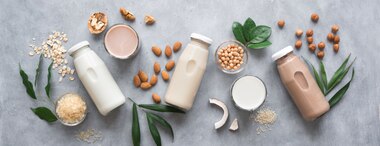 11 Of The Best Vegan Milk Alternatives 2022