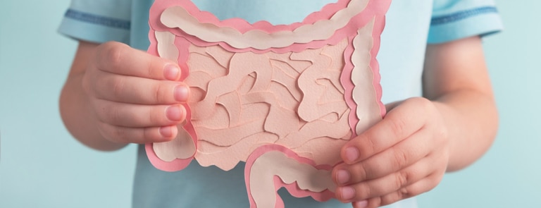 Friendly gut bacteria explained image
