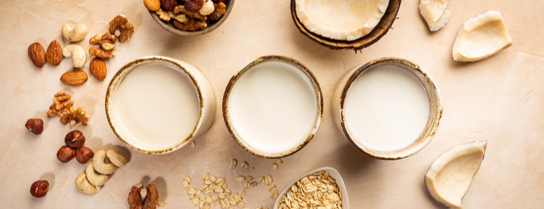Whether you're a seasoned vegan or a newbie, plant-based milk is a key part of the diet. Find out everything you need to know about each different type here.