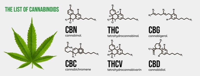cannabinoids types list