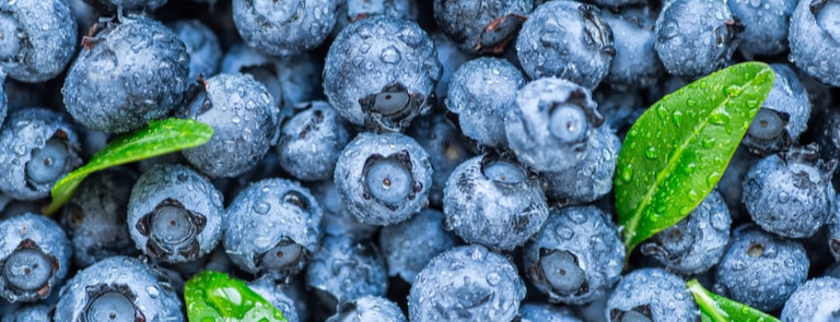 blueberries