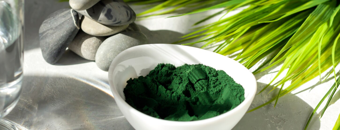 spirulina powder in white bowl