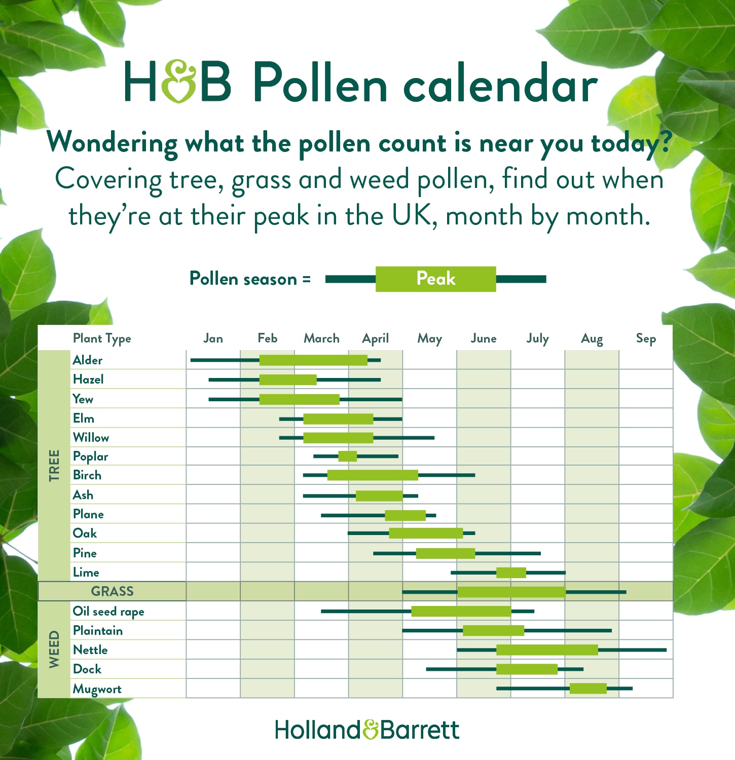 calendar for UK pollen count depending on month and type of pollen