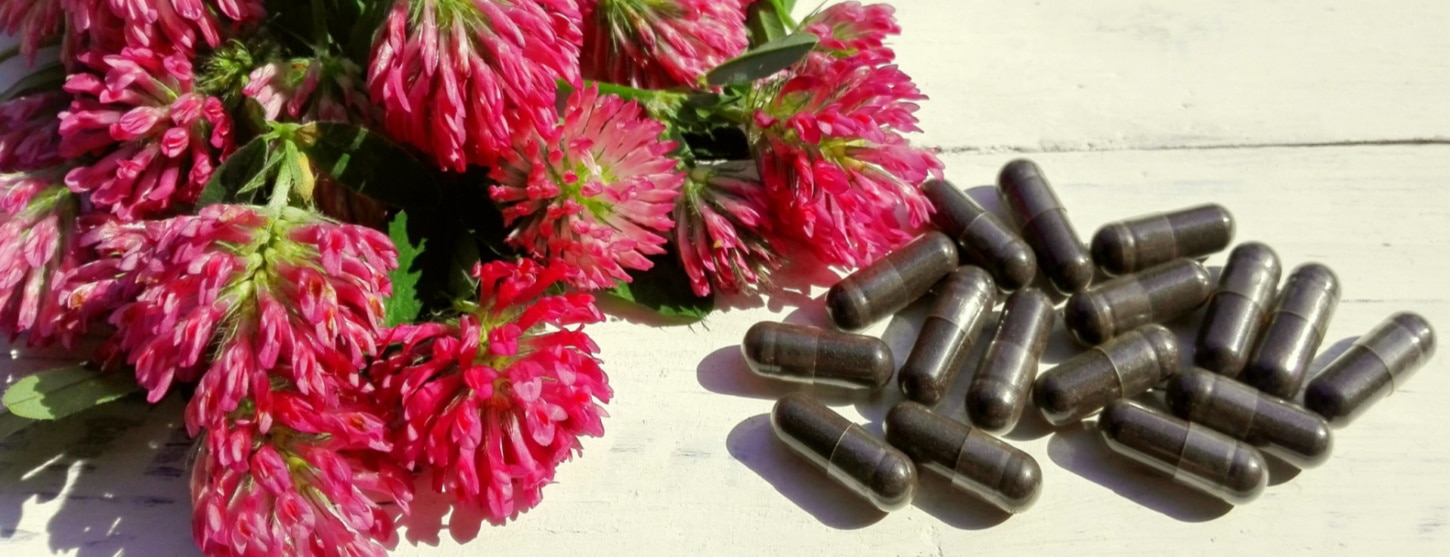 red clover supplements