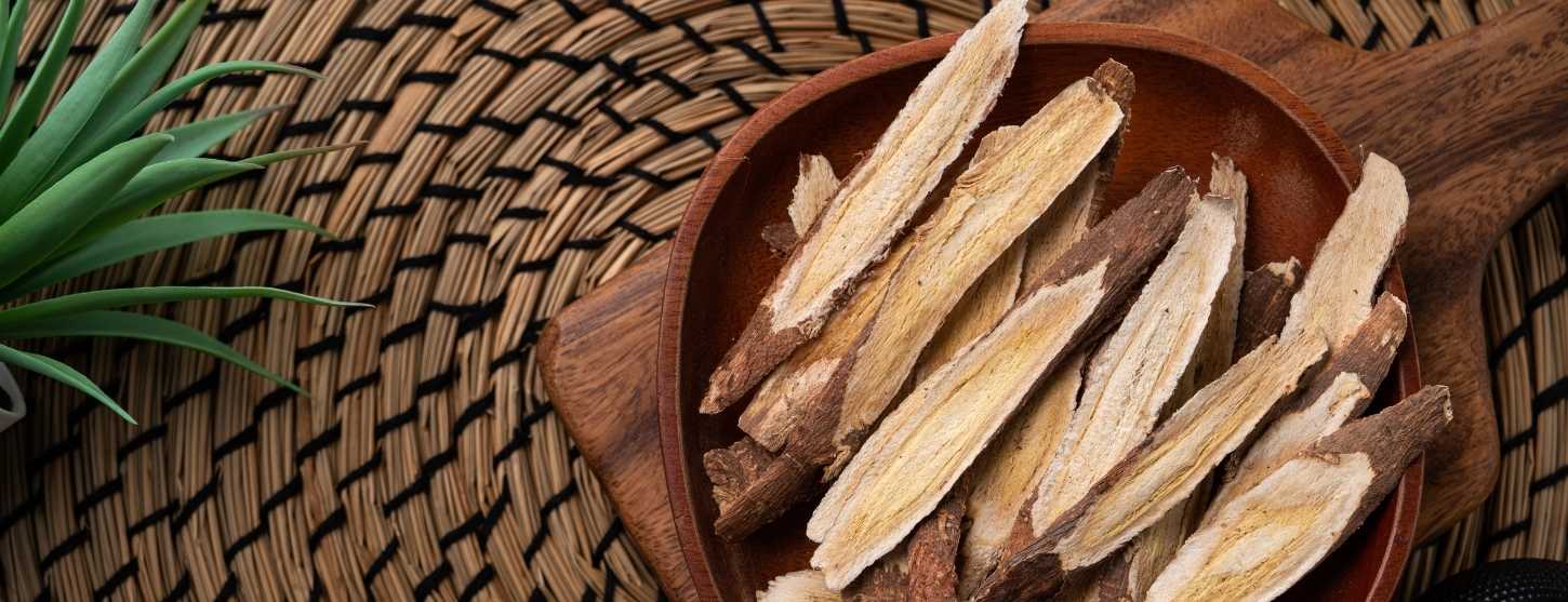 What are the benefits of Astragalus? image