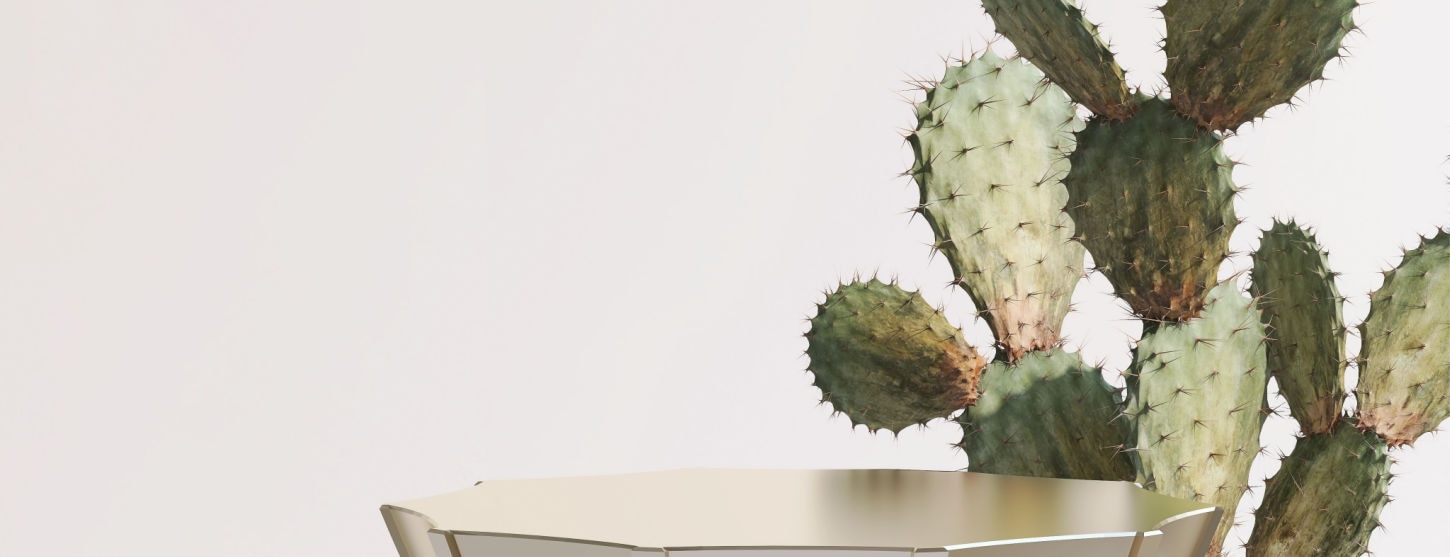 Cactus skin care: What are the benefits? image