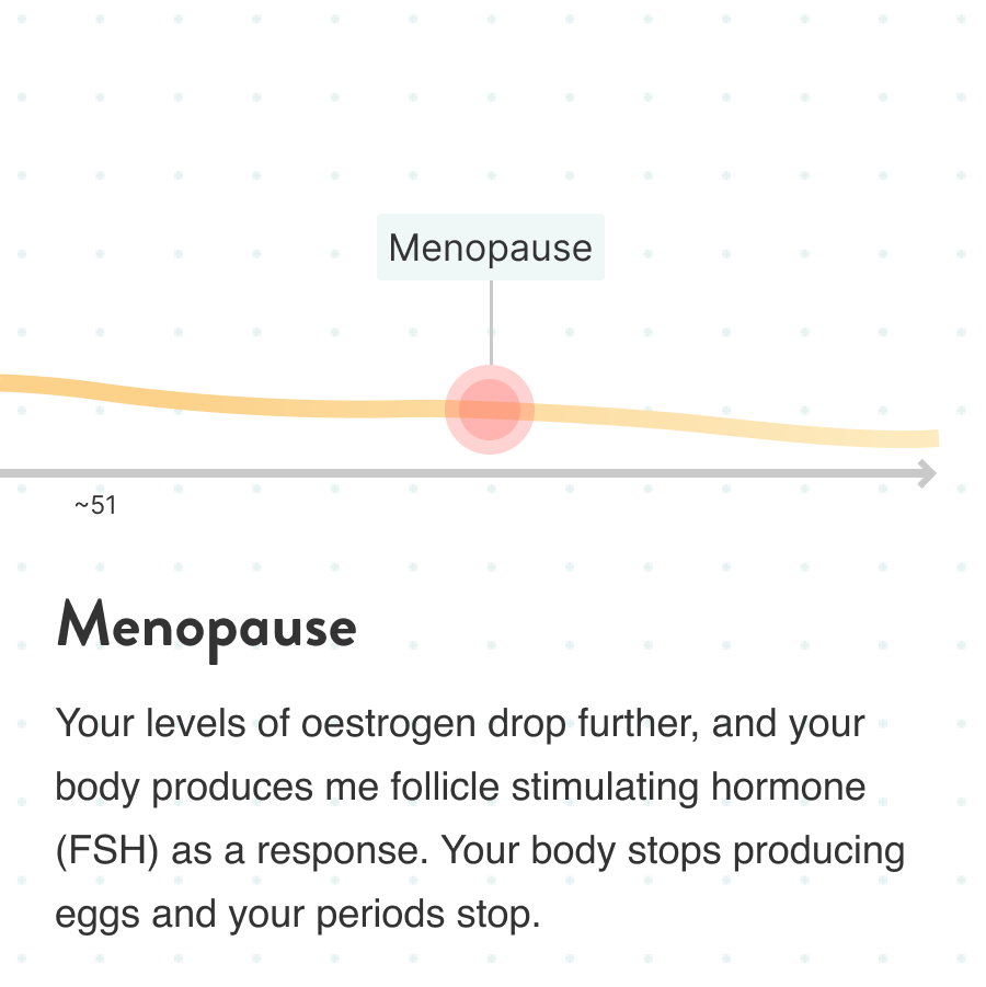 Menopause - Your levels of estrogen drop further, and your body produces me follicle stimulating hormone (FSH) as a response. Your body stops producing eggs and your periods stop.
