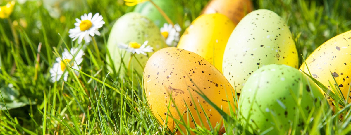 easter eggs laying on grass