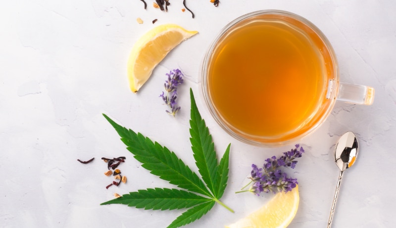 Steeping High: How to Make Cannabis Tea | Elevate Holistics