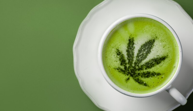 cup of cbd tea on a green background