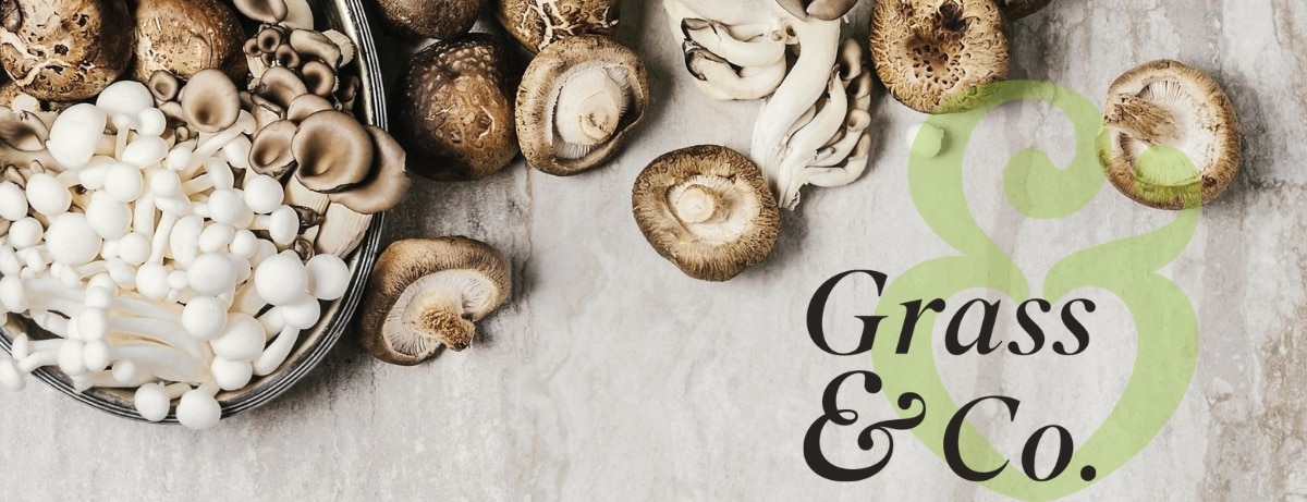 Extensive research has shown that there are many different chemical compounds in mushrooms that are responsible for their health-giving properties including vitamins, minerals, alkaloids, proteins and terpenoids. 