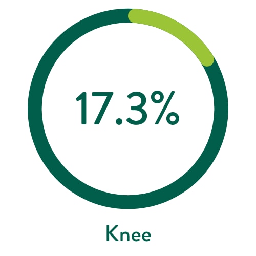 knee - 17.3