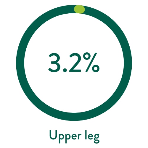 Upper leg 3.2
