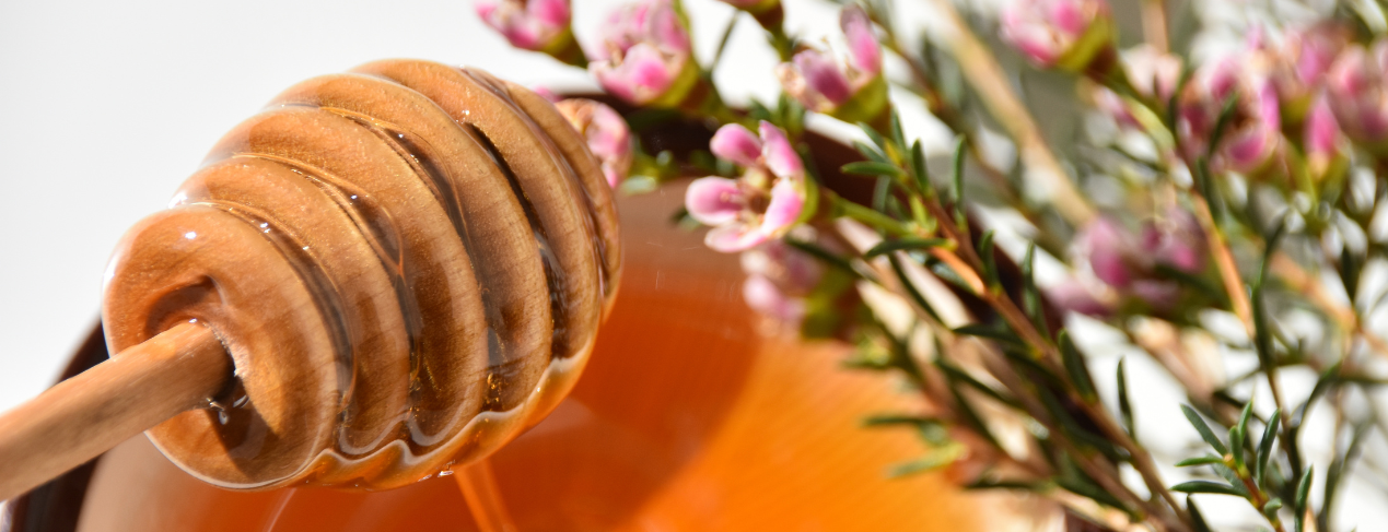 Can Pregnant Women Take Honey Shots For Immune System