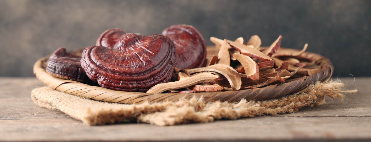 Reishi mushrooms have been popular in alternative medicine for centuries. Find out more about it's benefits along with how to include more in your routine



