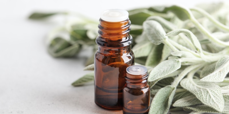 Clary sage oil and leaves
