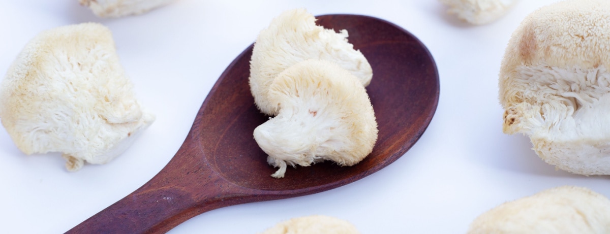 Lion's mane mushroom