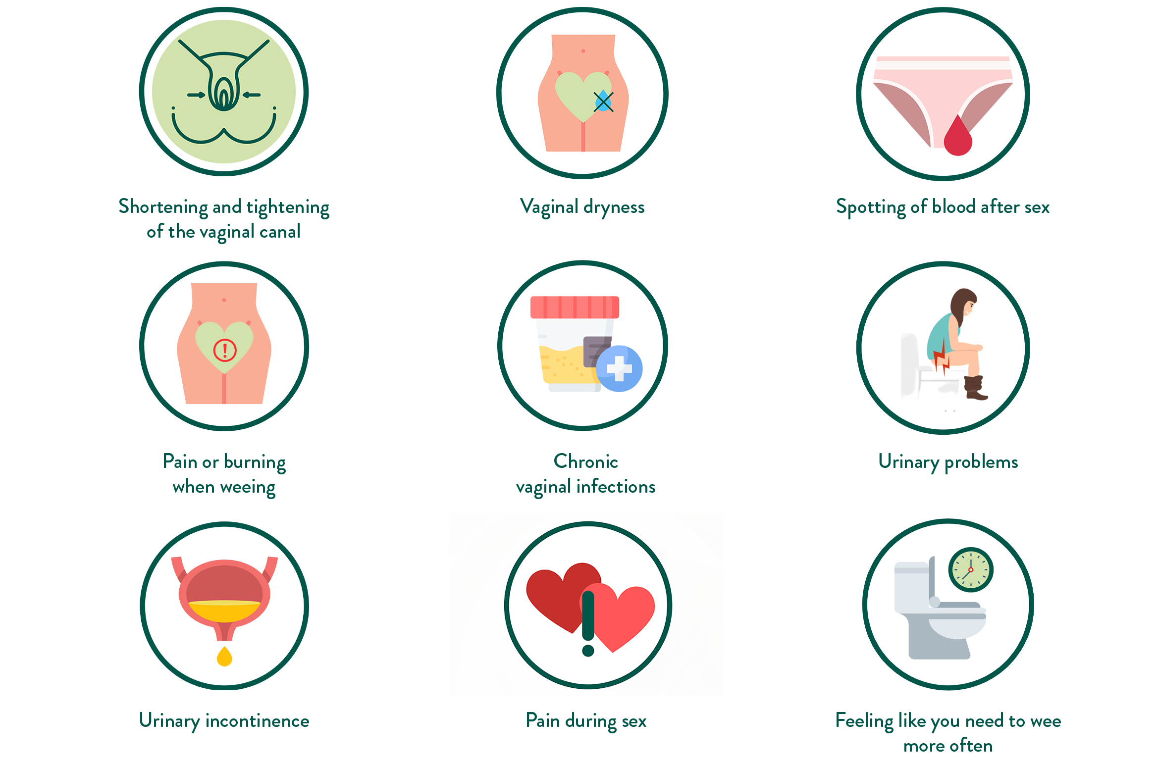 What is Vaginal Atrophy? Holland & Barrett