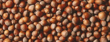 Hazelnuts: Health Benefits & Nutrition
