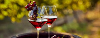 Is Red Wine Good For You: Health Benefits