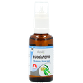 Afbeelding 2 voor Eucalyforce Neusspray - 30ml
