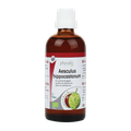 Afbeelding 2 voor Aesculus Hippocastanum Paardekastanje - 100 ml