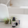 Afbeelding 2 voor Essentiële Olie Respiration - 10ml