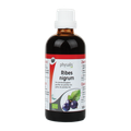 Afbeelding 2 voor Zwarte Bes Bio (100ml)