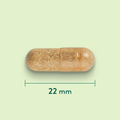 Afbeelding 3 voor Vegetarisch Collageen - 30 capsules