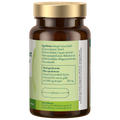 Afbeelding 2 voor Artisjok Extract 350mg - 60 capsules