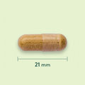 Afbeelding 3 voor Artisjok Extract 350mg - 60 capsules