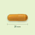 Afbeelding 3 voor Kurkuma 500mg - 240 capsules