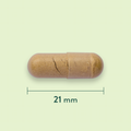 Afbeelding 3 voor Cat's Claw 300 mg - 90 capsules