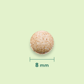 Afbeelding 3 voor Aloë Vera Complex - 120 tabletten