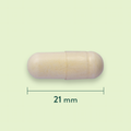 Afbeelding 3 voor Royal Jelly 500mg - 90 capsules