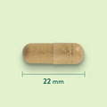 Afbeelding 3 voor Grote Klis 425mg - 90 capsules