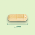Afbeelding 3 voor Mariadistel 250mg - 90 capsules