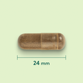 Afbeelding 3 voor Duivelsklauw 510 mg - 120 Capsules