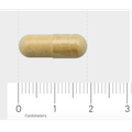 Afbeelding 3 voor 819 Mariadistel 225mg extract (90 Capsules)