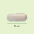 Afbeelding 3 voor Acidophilus Bifidus 10 mld - 60 capsules
