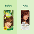 Afbeelding 4 voor Long Lasting Colour 6.45 Copper Mahogany - 100ml